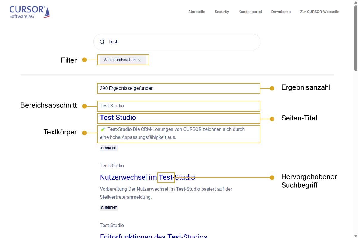 Es ist eine Seite in einem Internetbrowser zu sehen. Eine Suchleiste enthält einen Suchbegriff, darunter sind Ergebnisse aufgelistet. Verschiedene Abschnitte sind hervorgehoben.