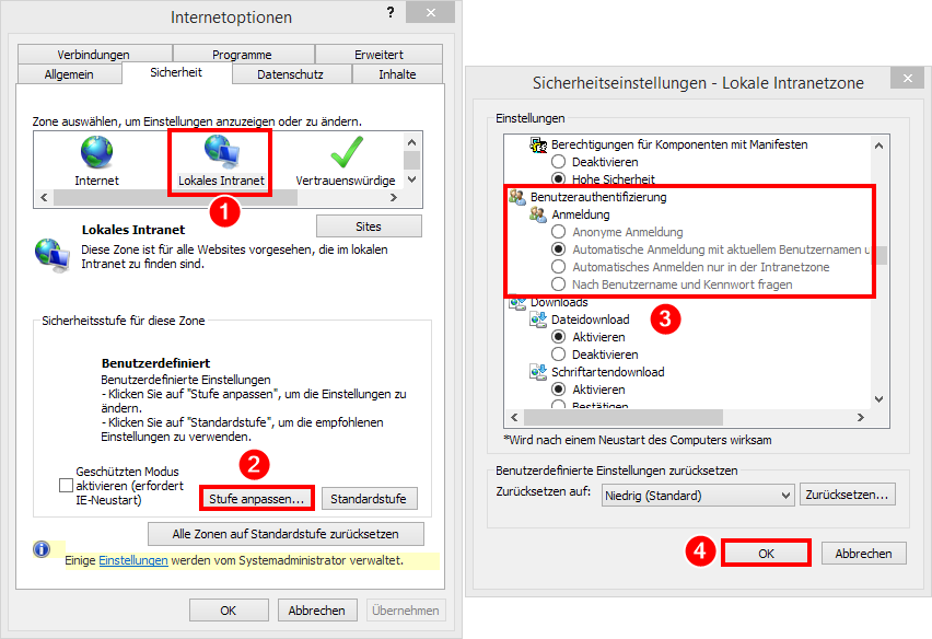 InternetOptions_DE_Intranet_Zone_Autologin.png