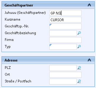 SFS_Suche_Firma_GP.png