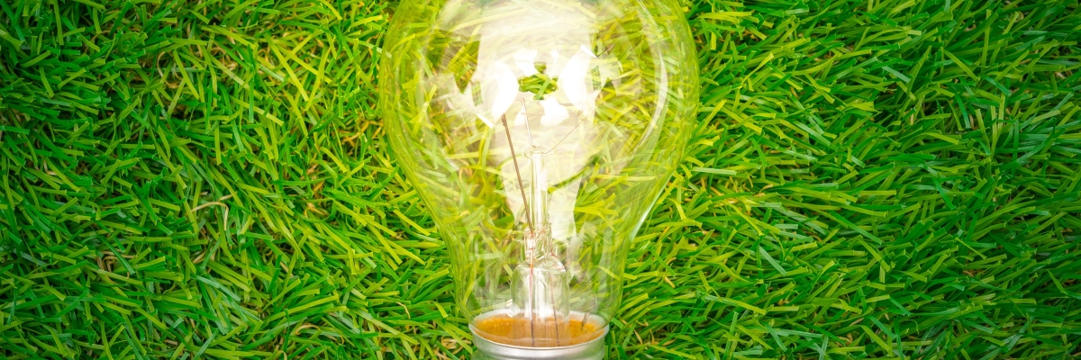 eco-concept-light-bulb-grow-grass_1200x400.jpg