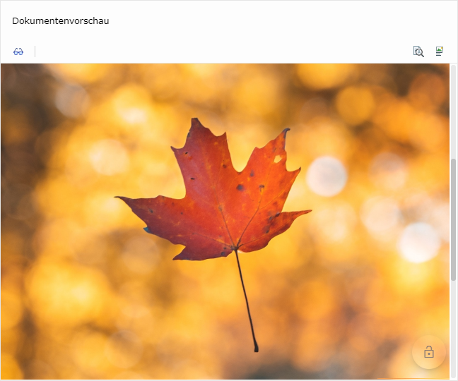 image2019-11-24_22-51-22.png