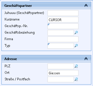 SFS_Suche_Firma_in.png