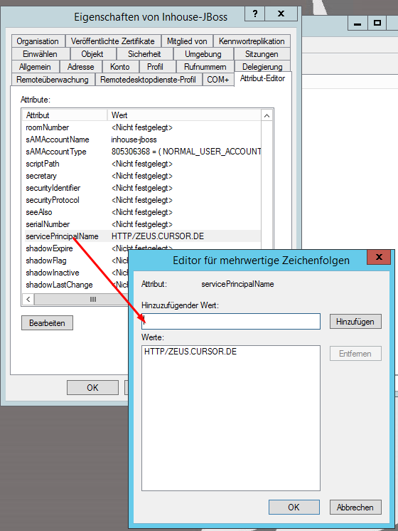 Ad_Konto_AttributeEditor_Detail.png