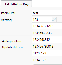 LookupListeFelder4.png