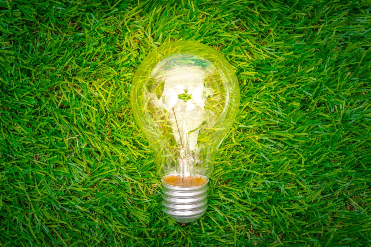 eco-concept-light-bulb-grow-grass_1200x800.jpg